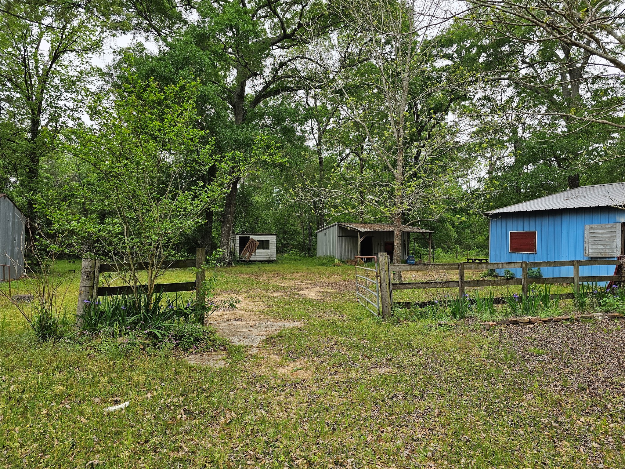 15784 Tree Monkey Road Conroe, TX 77303 - Photo 33 of 40