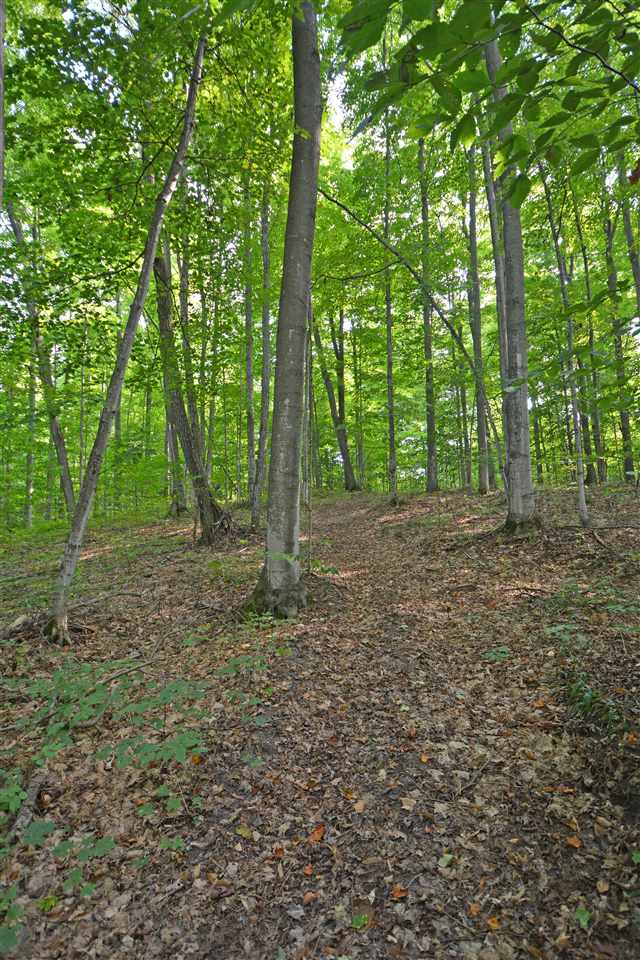 3312 Crum Road Benzonia, MI 49616 - Photo 22 of 24 1892521-21.JPG