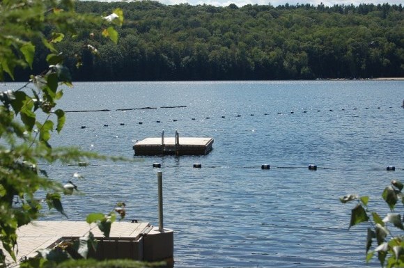 27 Bay Tree Lane, Unit A27 Grantham, NH 03753 - Photo 6 of 18