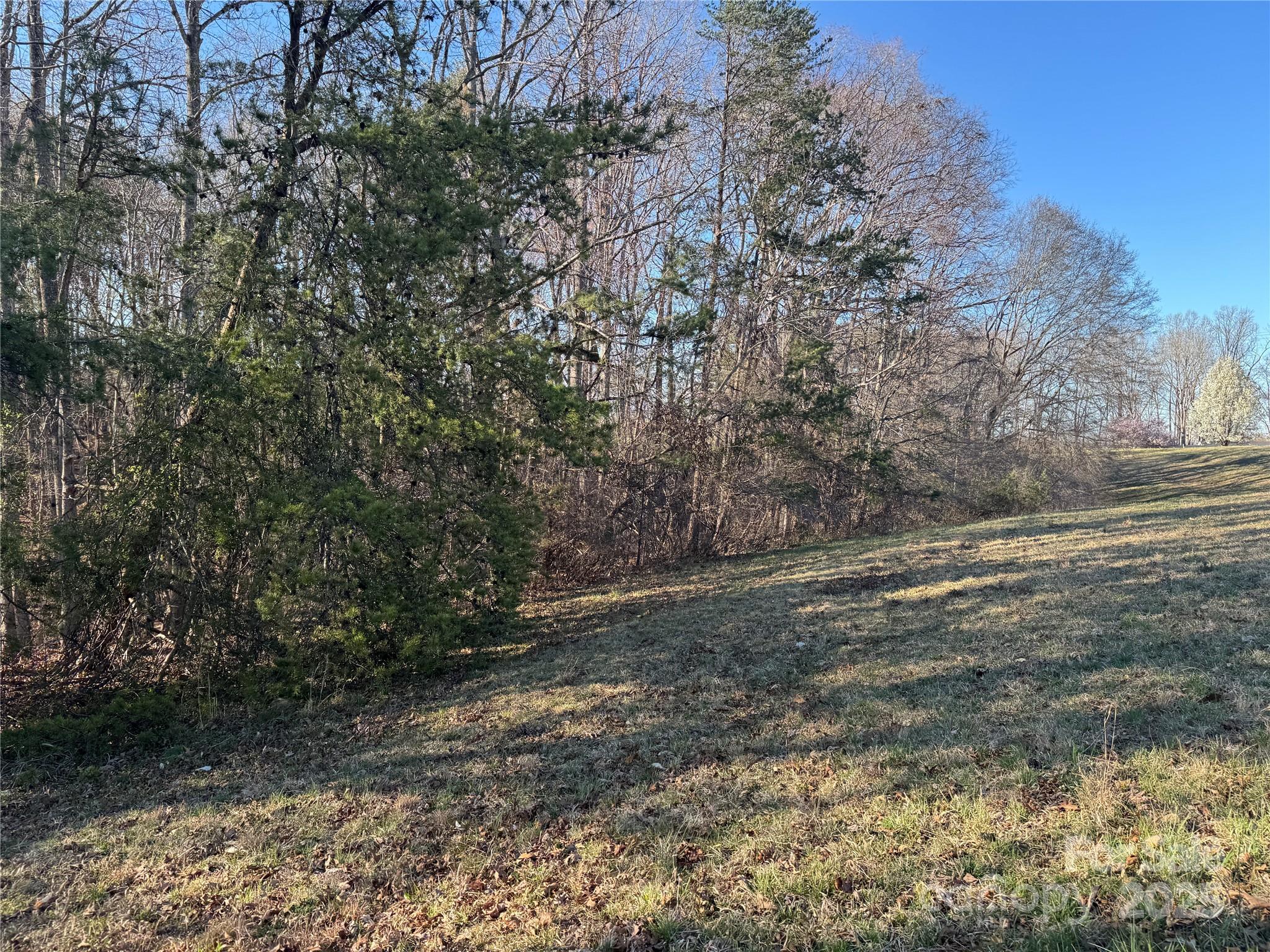 0 Bunker Hill Road Walnut Cove, NC 27052 - Photo 11 of 14