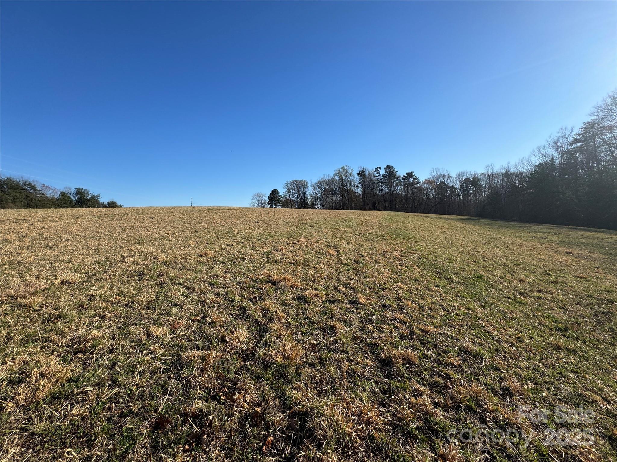 0 Bunker Hill Road Walnut Cove, NC 27052 - Photo 3 of 14