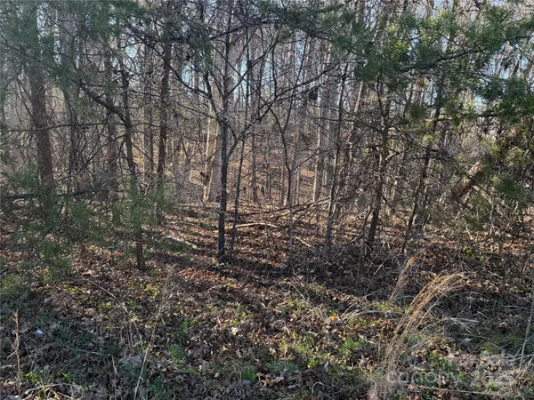 $89,000 | 0 Bunker Hill Road, Walnut Cove, NC 27052