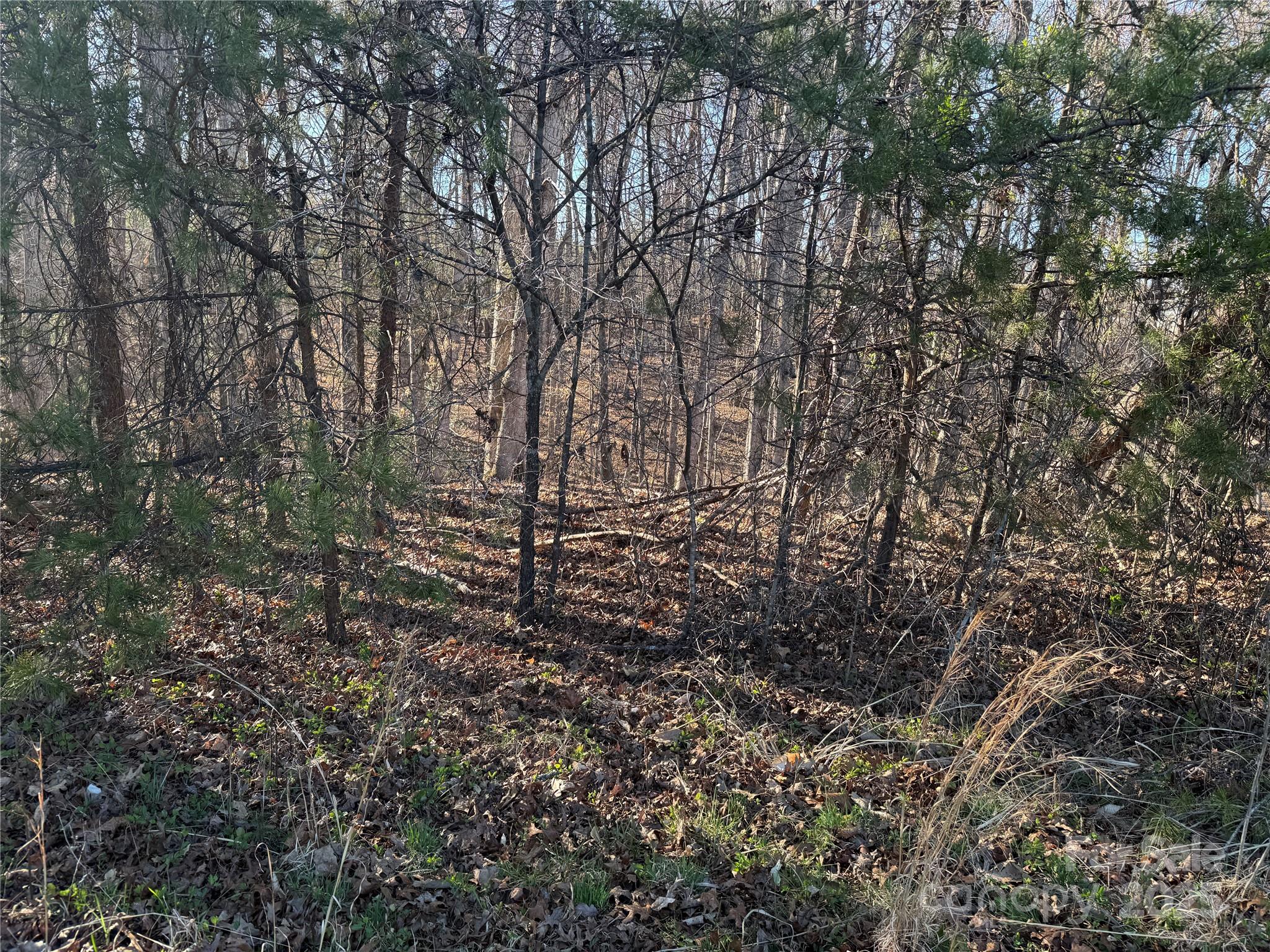 0 Bunker Hill Road Walnut Cove, NC 27052 - Photo 9 of 14