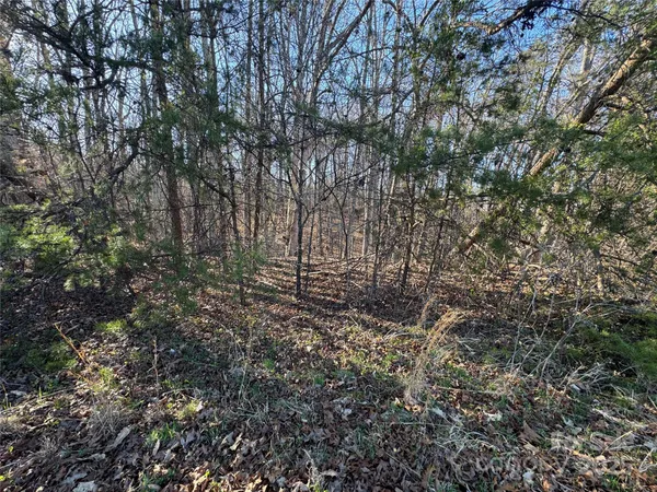 $89,000 | 0 Bunker Hill Road, Walnut Cove, NC 27052