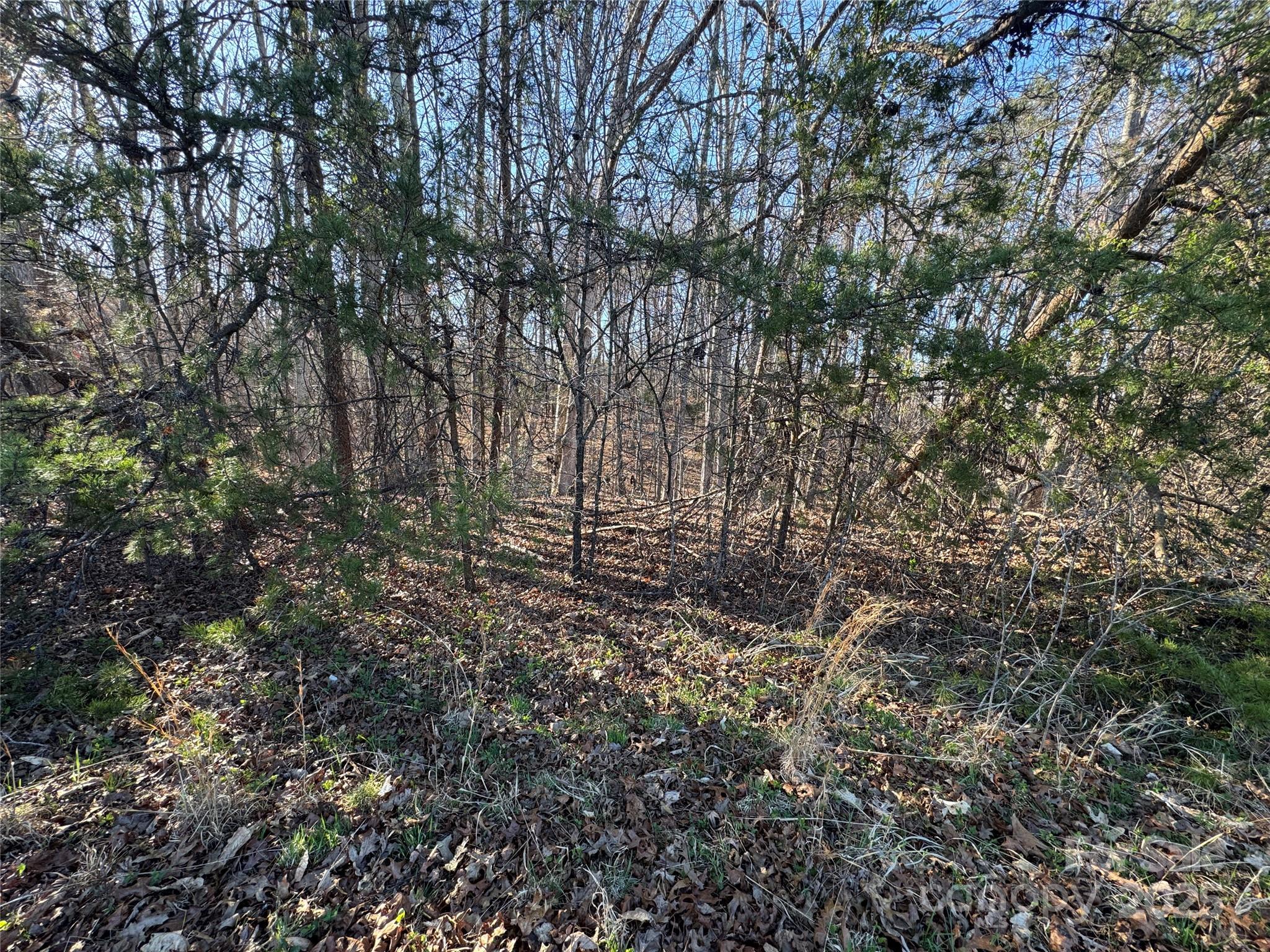 0 Bunker Hill Road Walnut Cove, NC 27052 - Photo 10 of 14
