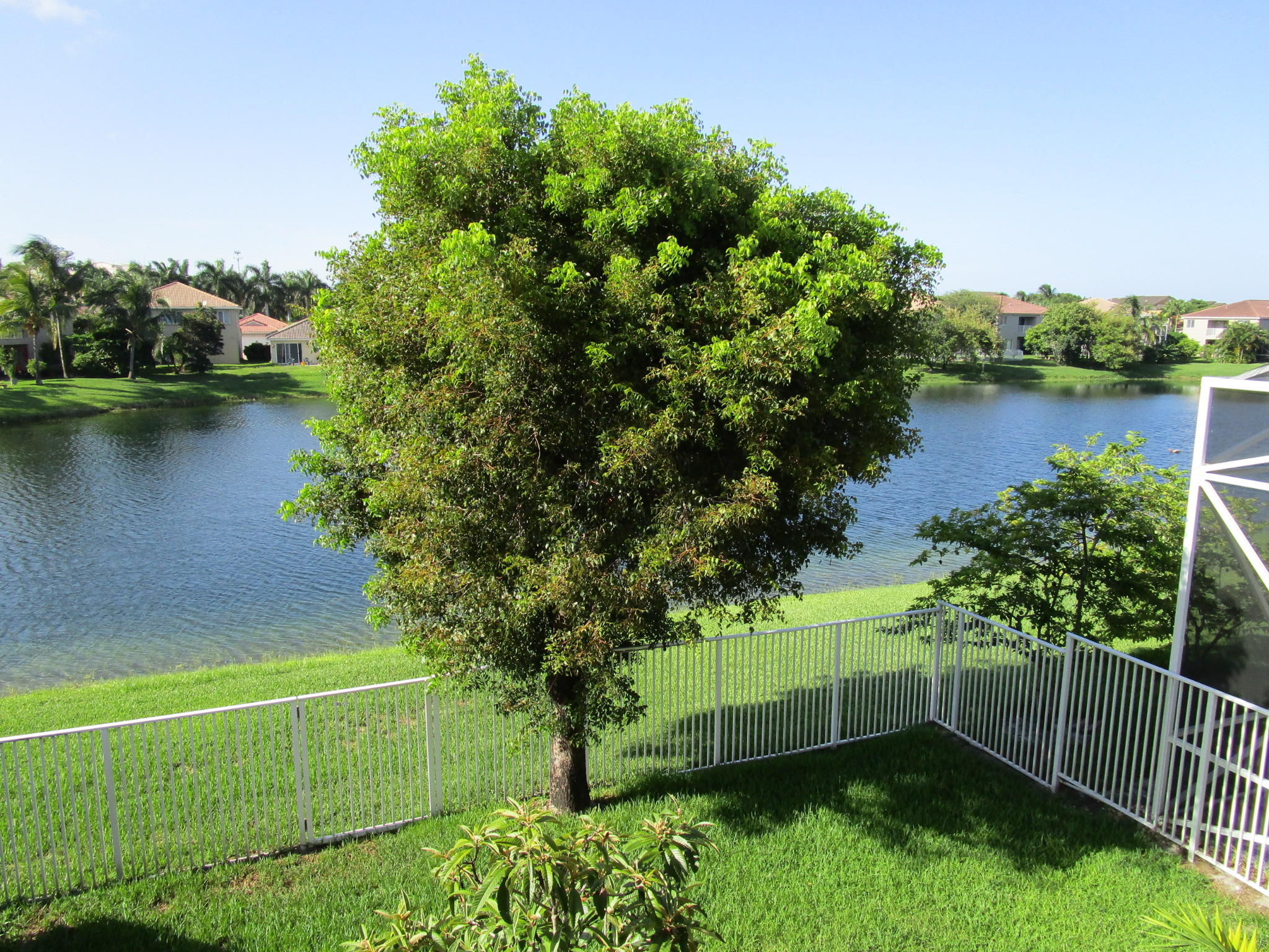 1077 Big Torch Street Riviera Beach, FL 33407 - Photo 35 of 38 1077 Big Torch 35