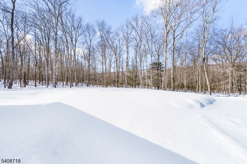 8 Worthington Road Newton, NJ 07860 - Photo 24 of 25 a view of snow on the road