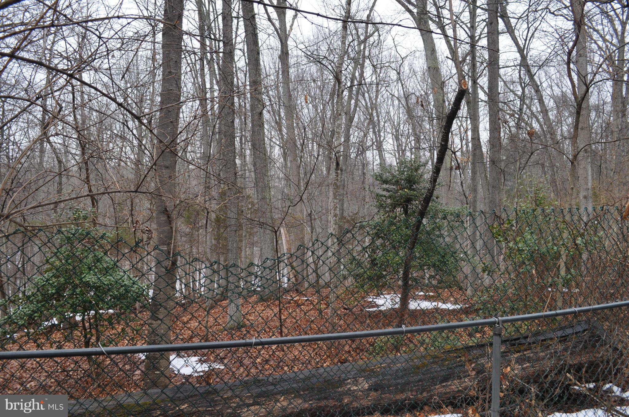 10710 Vale Road Oakton, VA 22124 - Photo 9 of 15 View from rec room