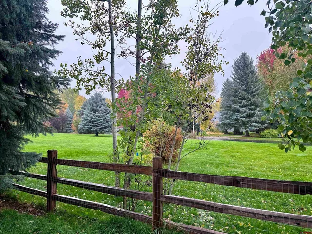 a view of a backyard with furniture
