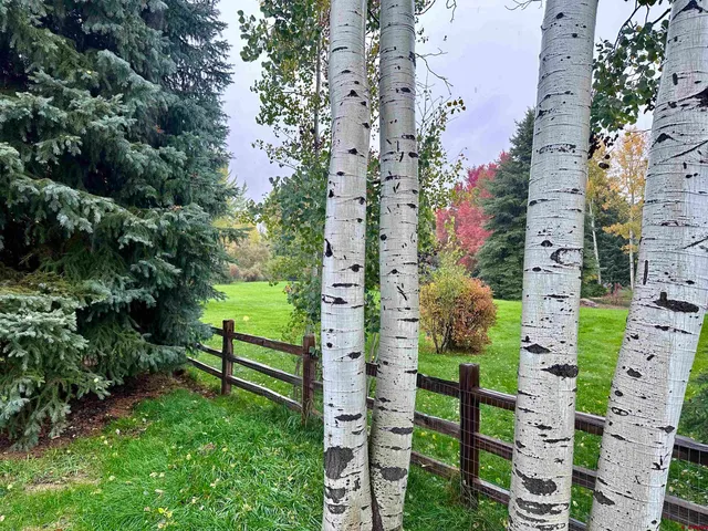 $995,000 | 60 Long Hollow Lane, Durango, CO 81301