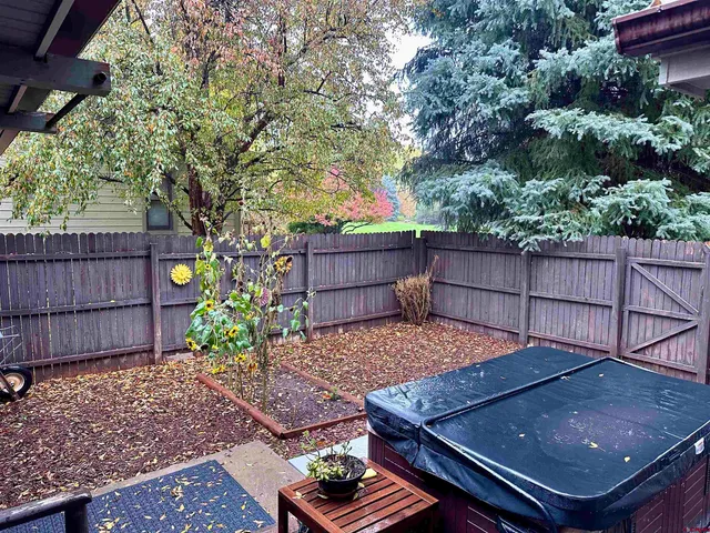 a view of a yard with plants