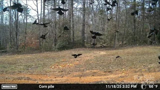 a view of outdoor space