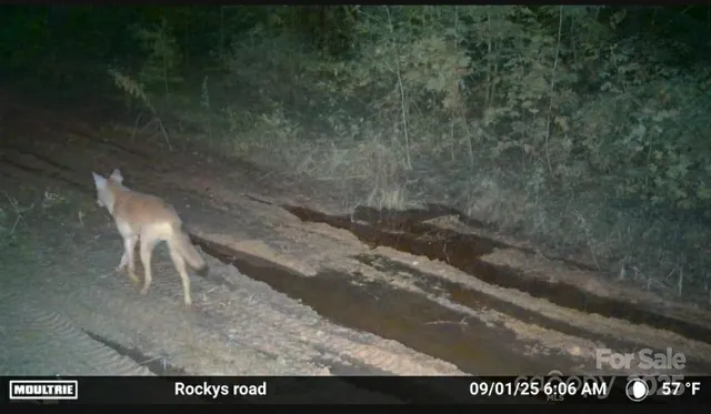 a view of lake view with a lake view
