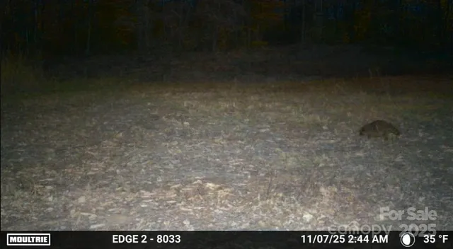 $650,000 | 4204 Bennett Road, Morganton, NC 28655