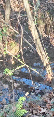 a backyard of a house