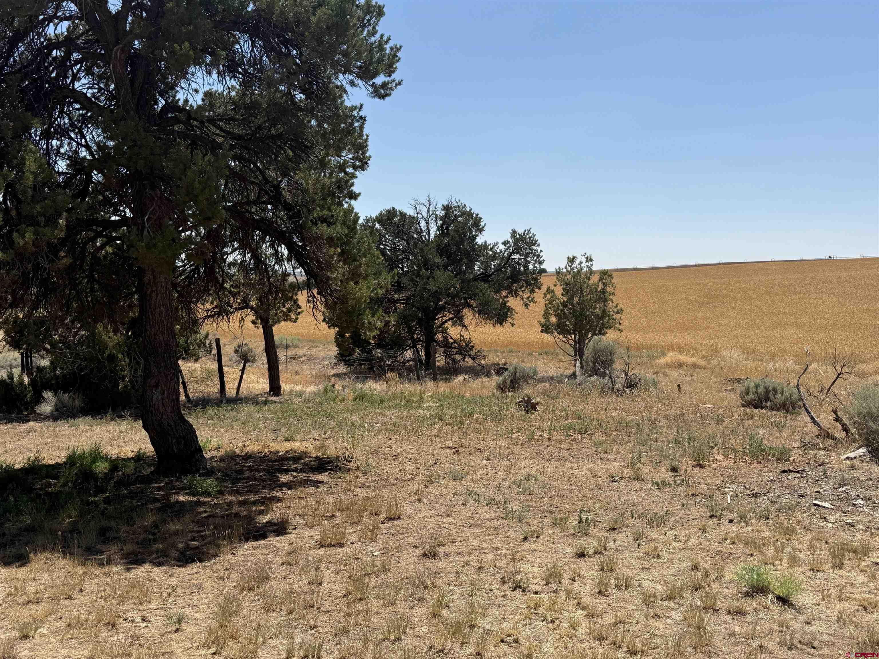 12730 Rd R Cahone, CO 81320 - Photo 30 of 34 a view of a yard with a tree