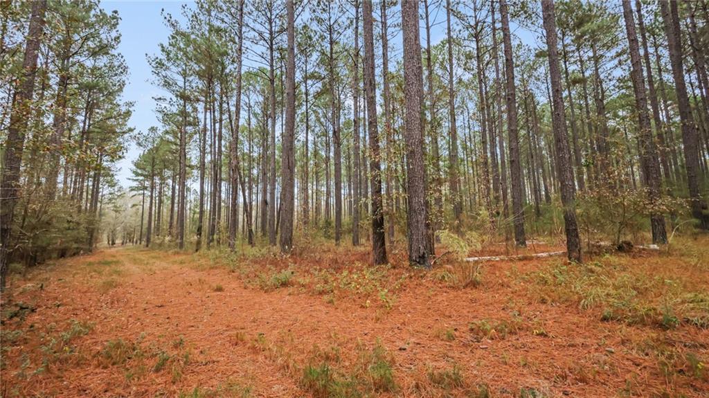 939 Hunter Road Ellaville, GA 31806 - Photo 1 of 1 Gallery Image 1