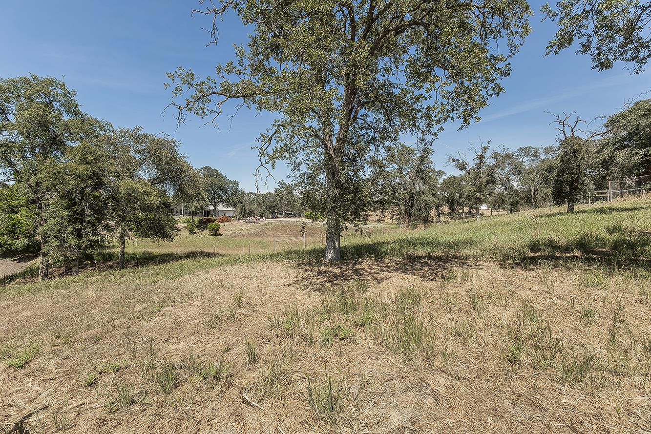 14815 Garlock Lane Prather, CA 93651 - Photo 57 of 80 a view of a field with trees in the background