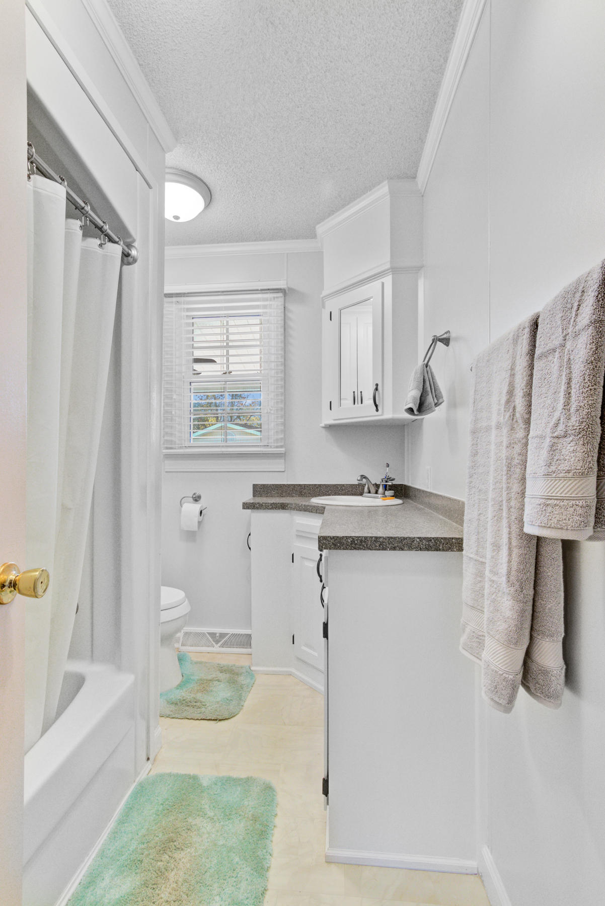 625 Gants Road Moncks Corner, SC 29461 - Photo 15 of 37 625 Gnats Rd, Moncks Corner SC (15)