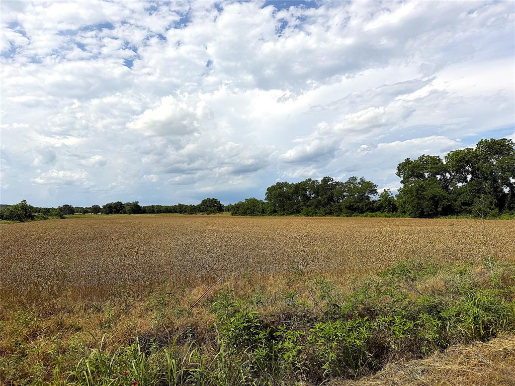 183 North West Rising Star, TX 76471 - Photo 15 of 17