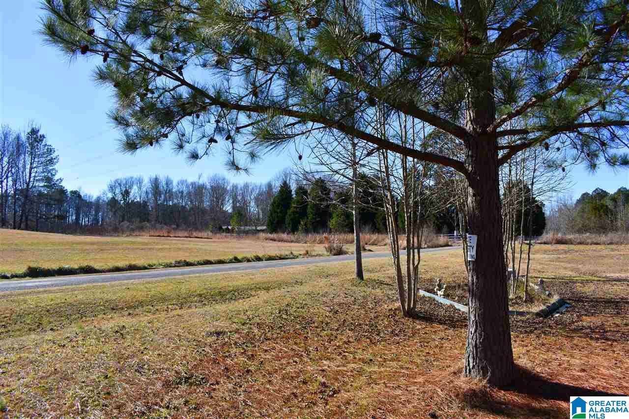 49 Jim Bagwell Road Empire, AL 35063 - Photo 15 of 16