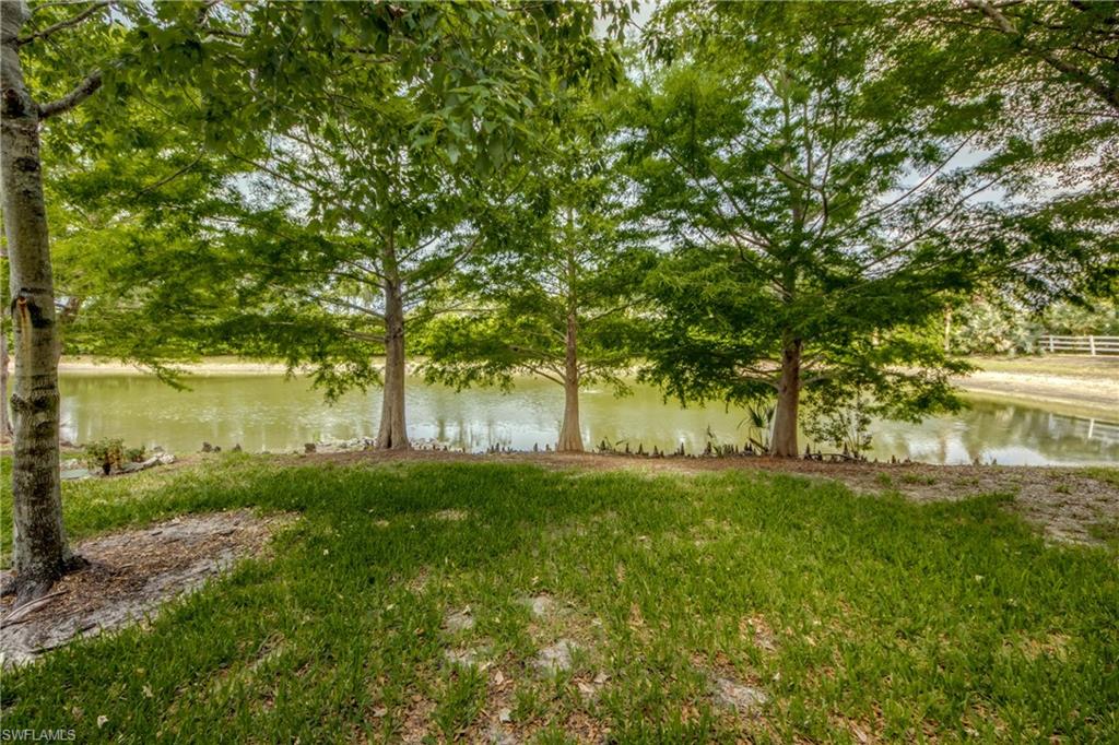 19530 Bowring Park Road, Unit 106 Fort Myers, FL 33967 - Photo 32 of 39 a view of yard with green space and trees all around