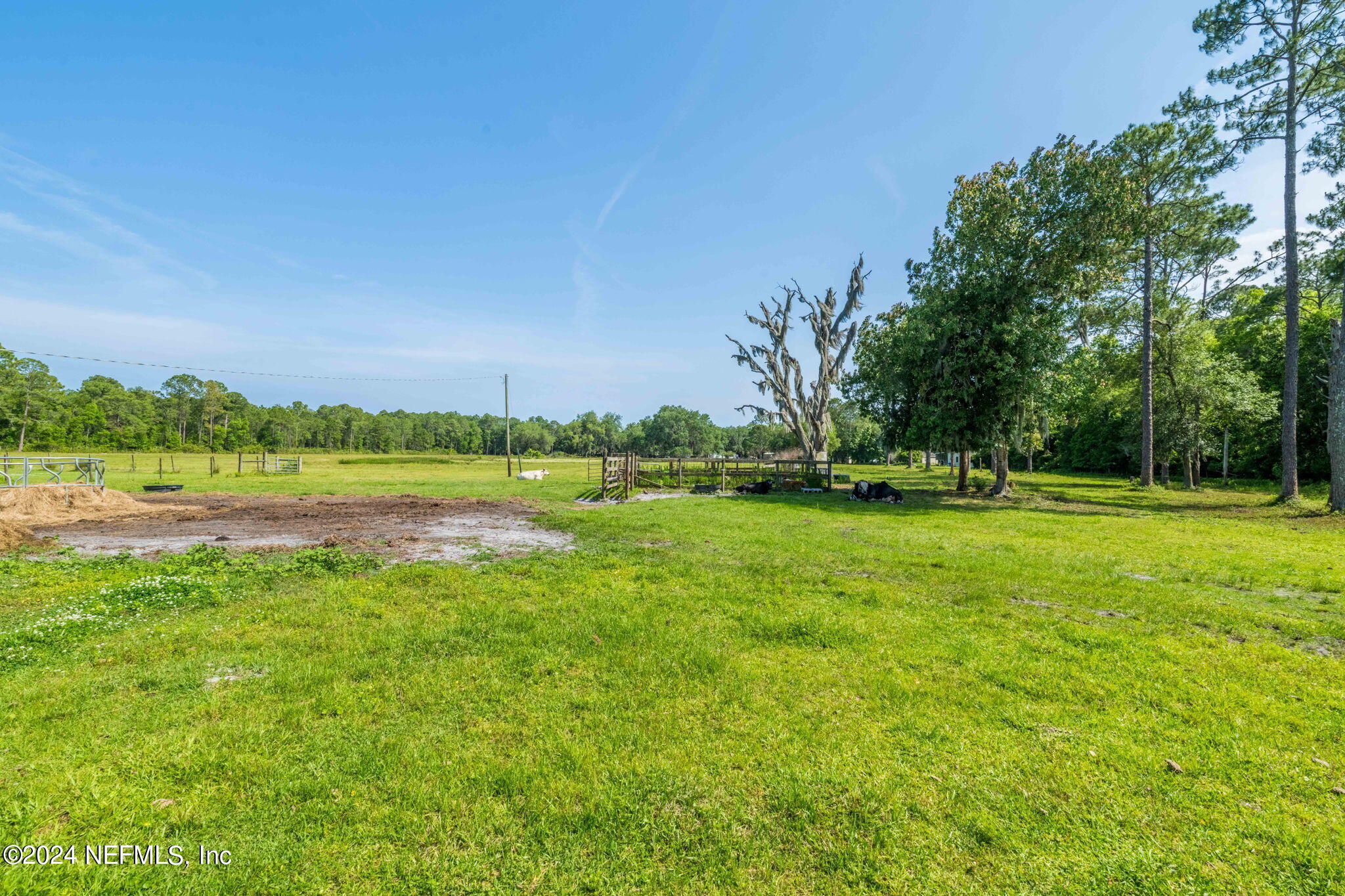 2380 Deer Run Road St. Augustine, FL 32084 - Photo 104 of 120 ISO_2830 Deer Run Rd_St Aug FL_007