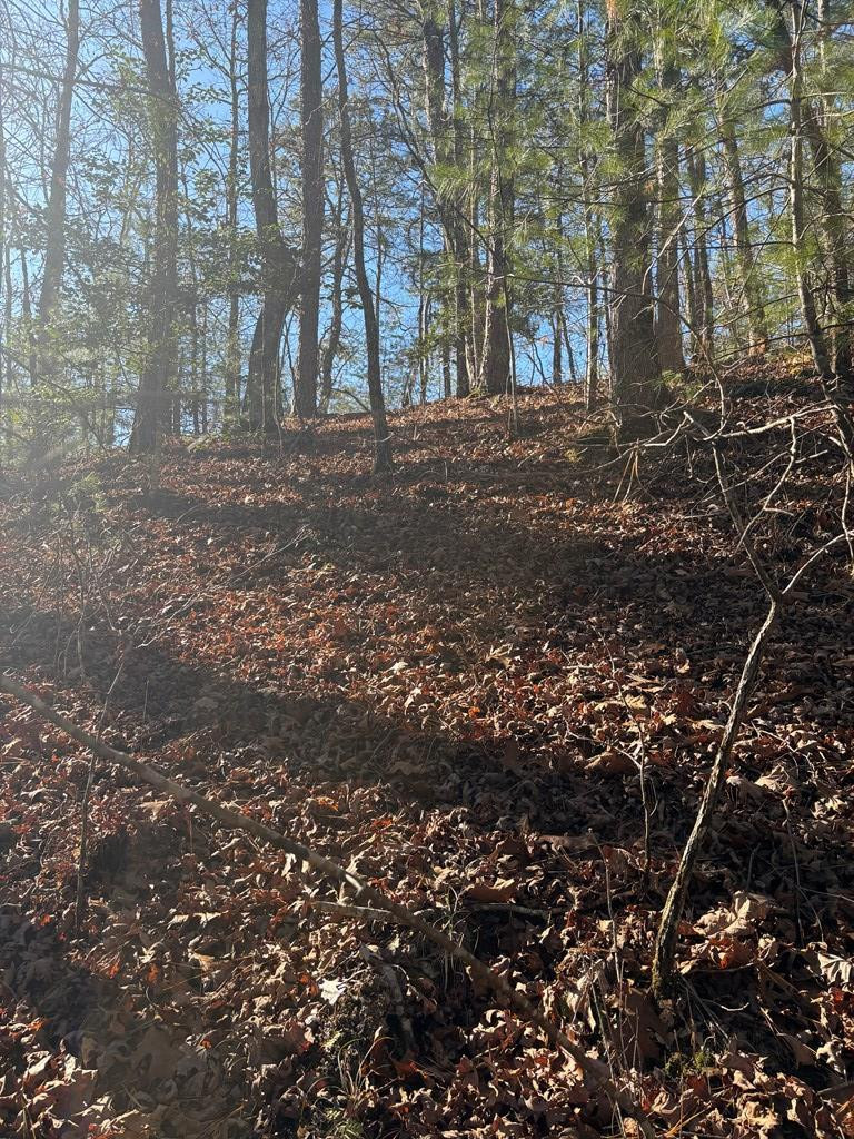 1.03 Deep Frst Road Murphy, NC 28906 - Photo 12 of 28