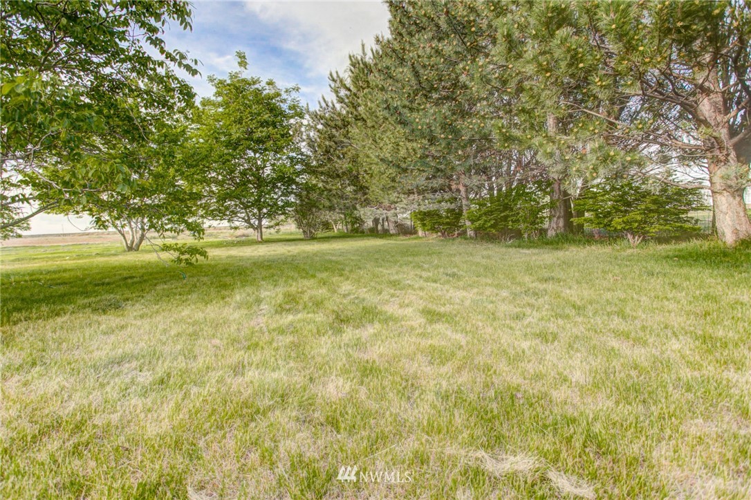 8941 Neppel Road Northeast Moses Lake, WA 98837 - Photo 8 of 24 Gallery Image 8