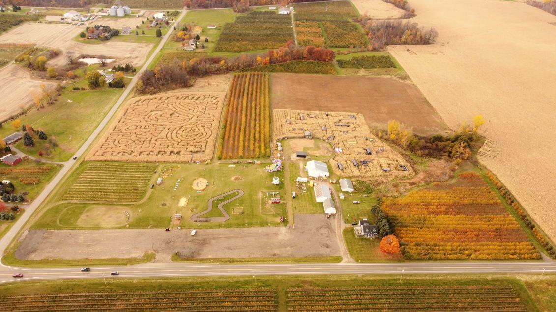 7737 Fruit Ridge Avenue Northwest Sparta, MI 49345 - Photo 3 of 48 IMG_3494