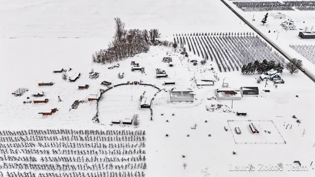 $1,150,000 | 7737 Fruit Ridge Avenue Northwest, Sparta, MI 49345