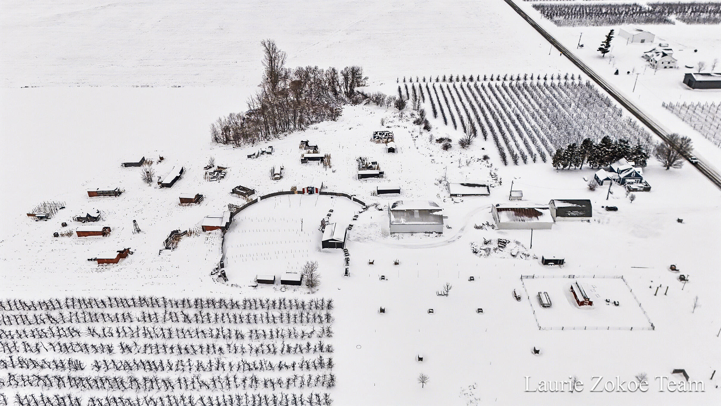 7737 Fruit Ridge Avenue Northwest Sparta, MI 49345 - Photo 44 of 48 DJI_20260121140658_0031_D