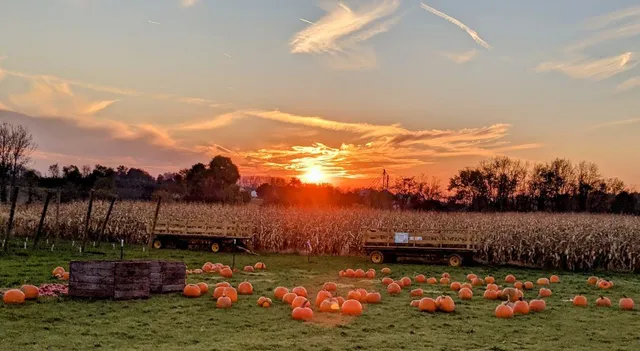 $1,150,000 | 7737 Fruit Ridge Avenue Northwest, Sparta, MI 49345