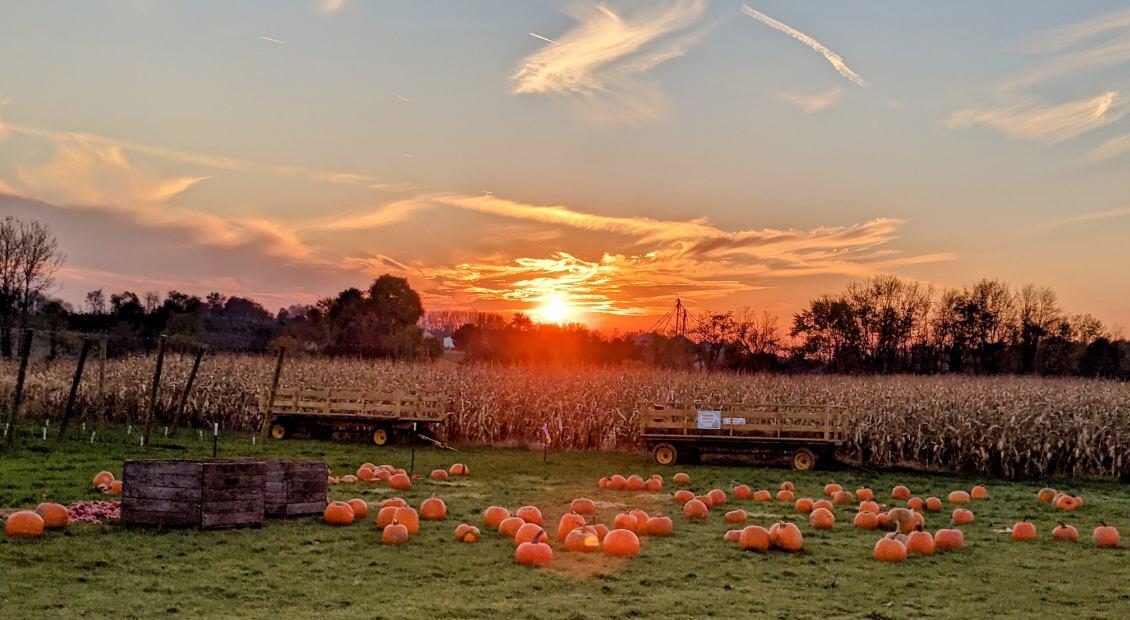 7737 Fruit Ridge Avenue Northwest Sparta, MI 49345 - Photo 45 of 48 IMG_3495