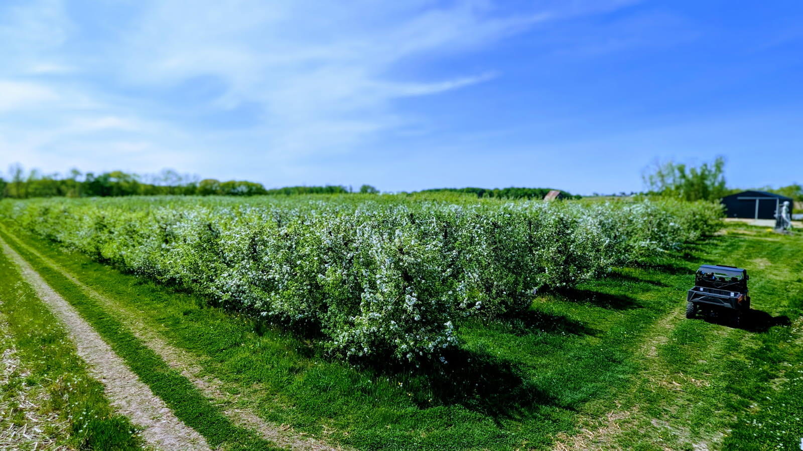 7737 Fruit Ridge Avenue Northwest Sparta, MI 49345 - Photo 46 of 48 IMG_3489