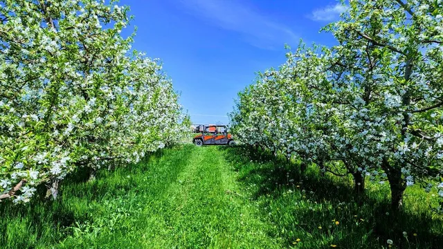 $1,150,000 | 7737 Fruit Ridge Avenue Northwest, Sparta, MI 49345