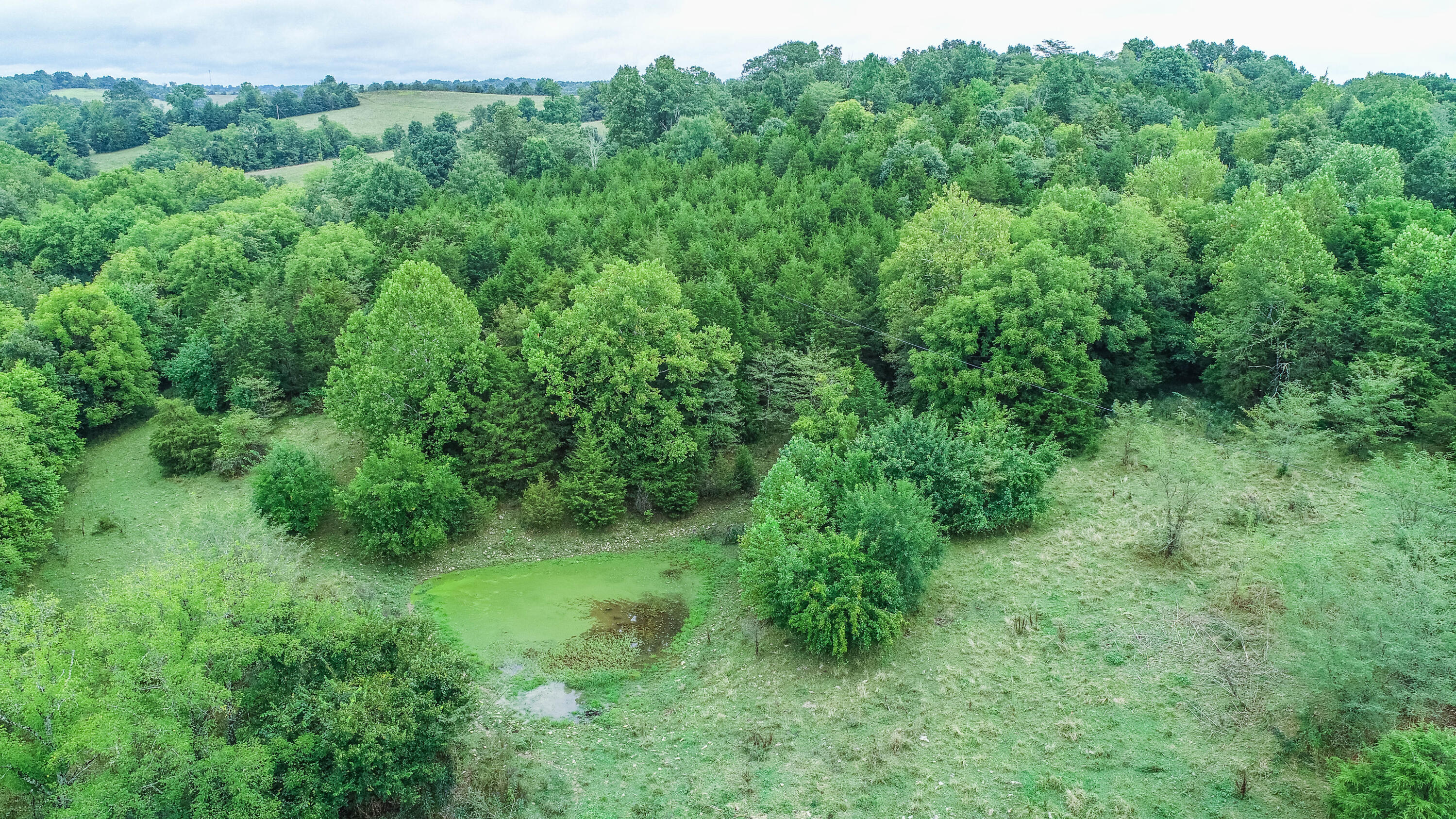 1 Bobtown Road Cynthiana, KY 41031 - Photo 3 of 7 DJI_0018