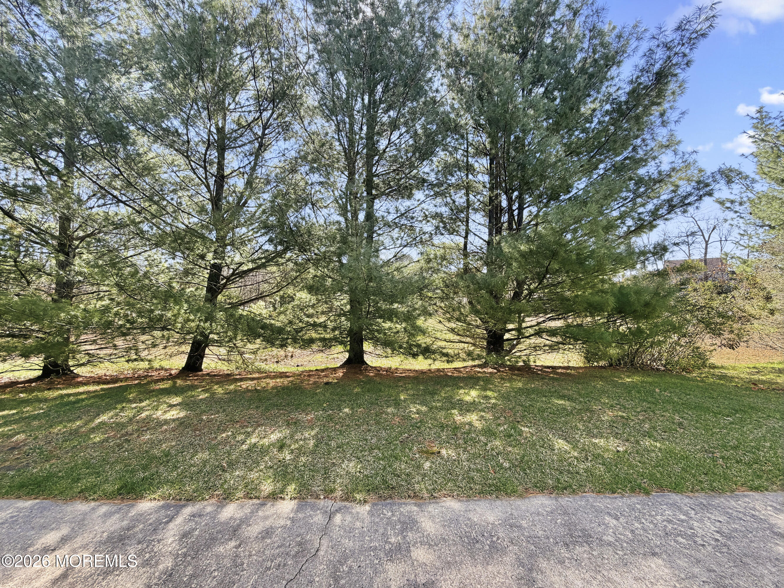 1 Bay Hill Road Jackson, NJ 08527 - Photo 31 of 31 backyard.1