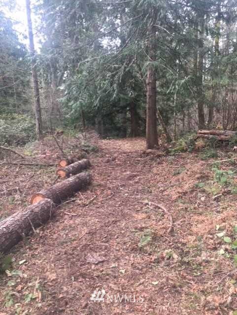 22021 East Benson Loop Road Shelton, WA 98584 - Photo 14 of 18 Gallery Image 14