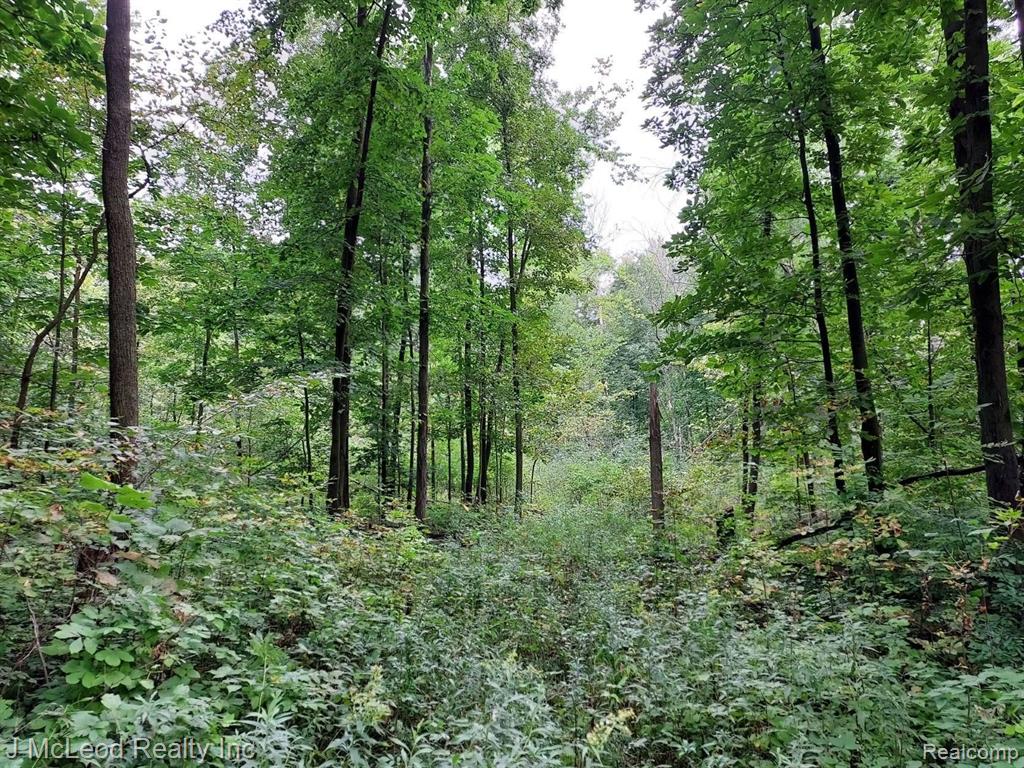 Vl Vassar Road Millington, MI 48746 - Photo 14 of 26