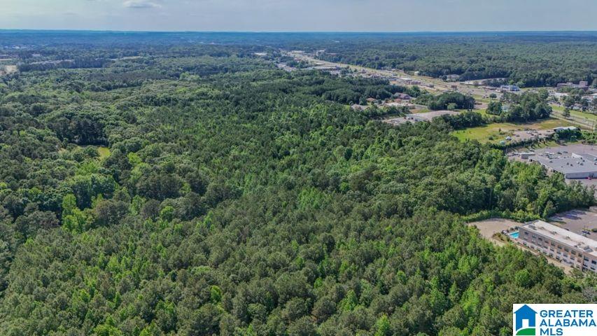 0 Jones Dairy Road Jasper, AL 35501 - Photo 12 of 14