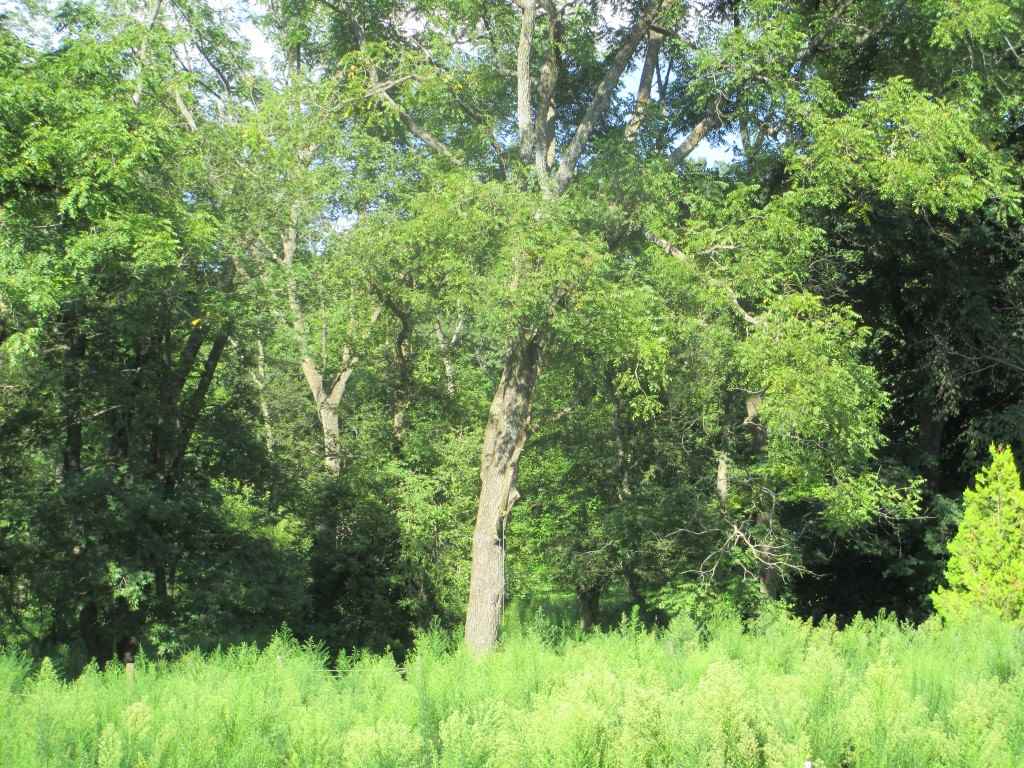 1091 Stone Mill Road Tipton, IA 52772 - Photo 25 of 25 Gallery Image 25