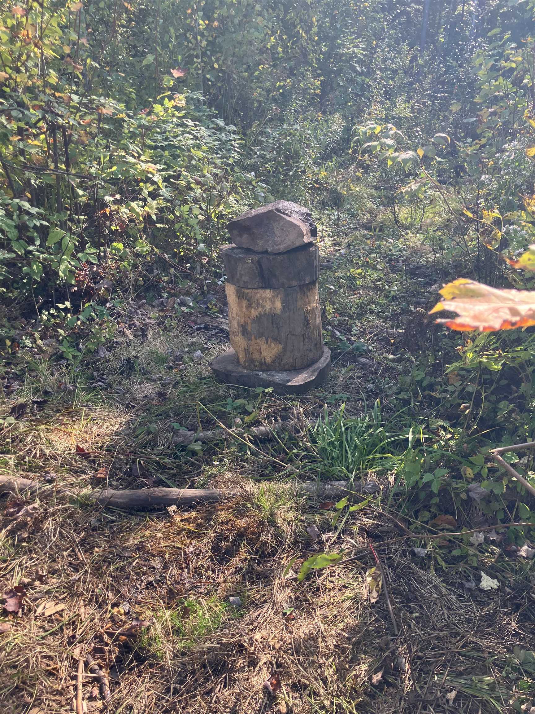 3 Pine Flats Road Ashland, WI 54806 - Photo 6 of 11 Exterior view