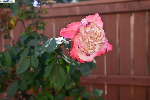 $839,999 | 16230 Calypso Court, San Leandro, CA 94578