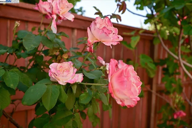 $839,999 | 16230 Calypso Court, San Leandro, CA 94578