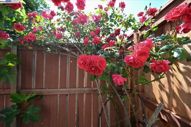 $839,999 | 16230 Calypso Court, San Leandro, CA 94578