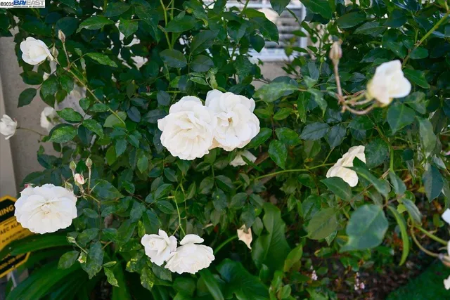 $839,999 | 16230 Calypso Court, San Leandro, CA 94578