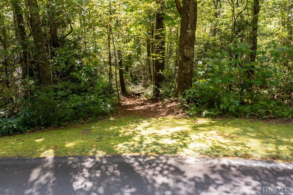 Lot 6 River Overlook Road Sapphire, NC 28774 - Photo 13 of 16 Gallery Image 13