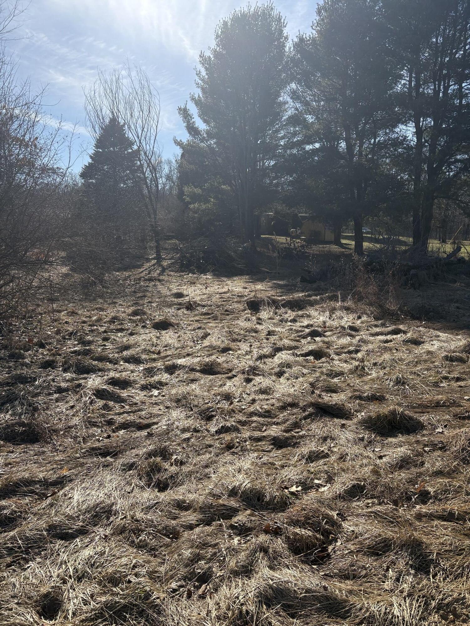 54277 Day Road Marcellus, MI 49067 - Photo 8 of 9 IMG_6732