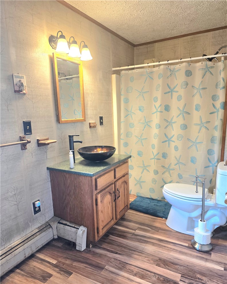 653 Breesport N Chemung Road Baldwin, NY 14861 - Photo 7 of 17